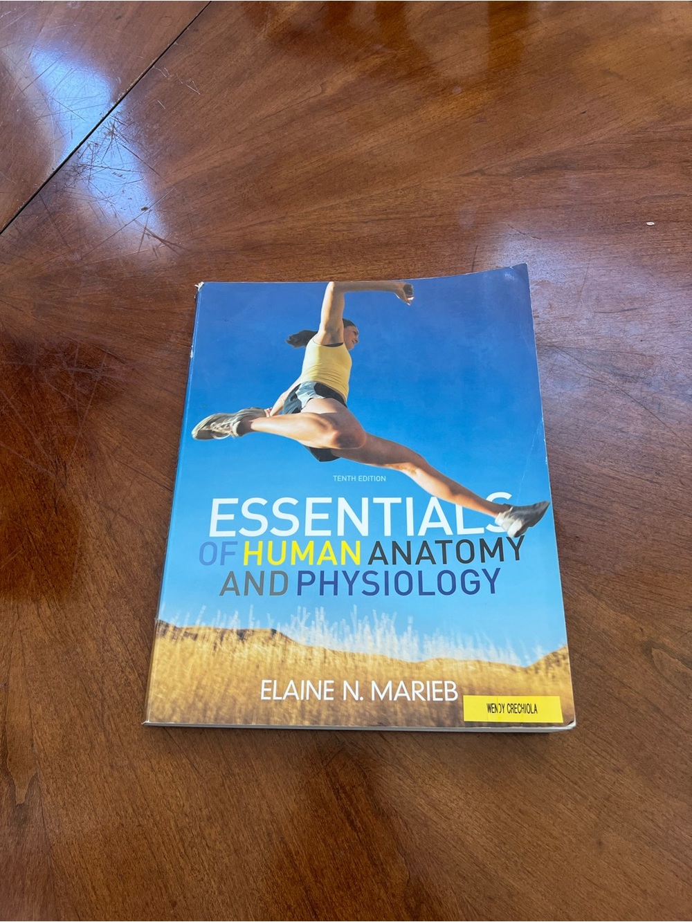 Essentials of Human Anatomy and Physiology